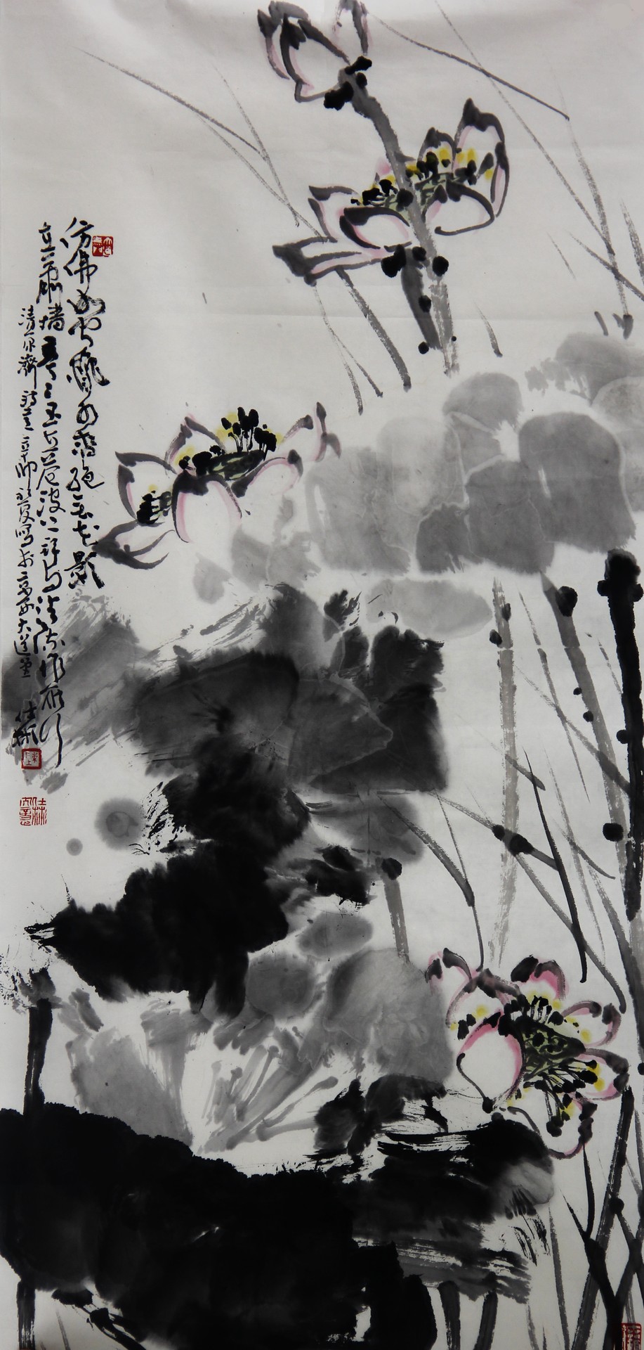 荷花