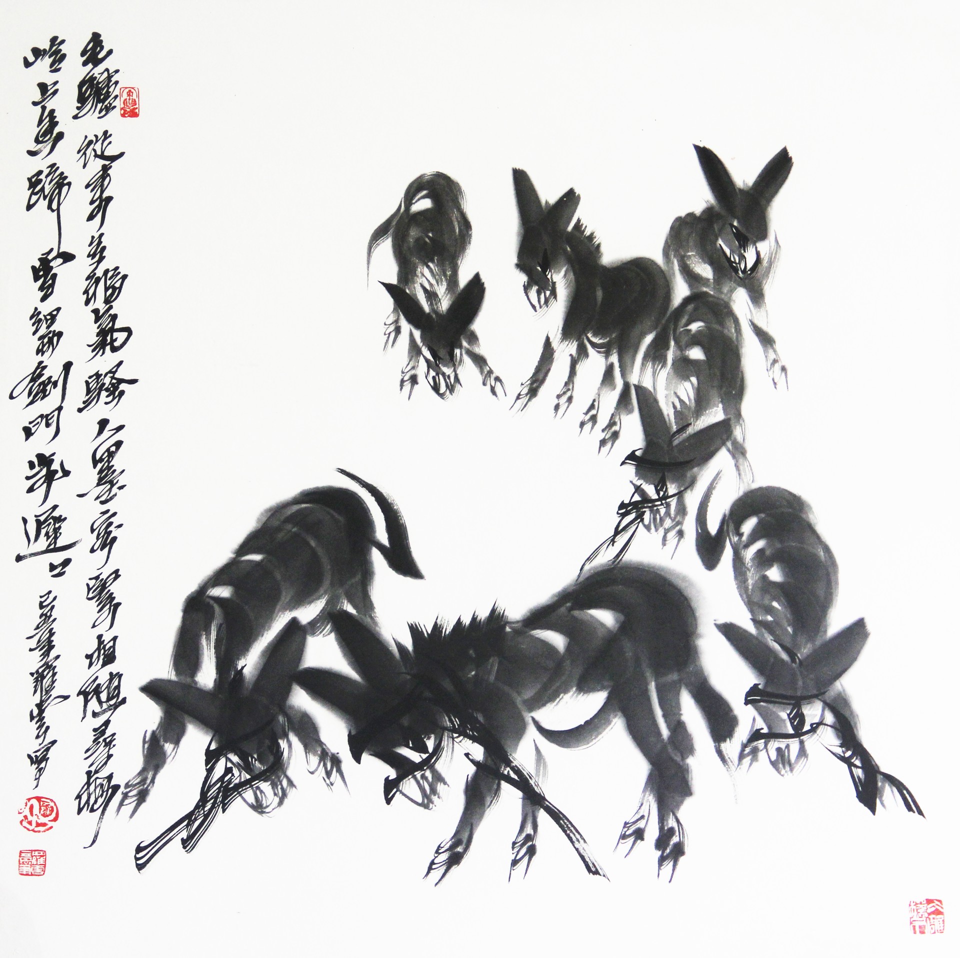 毛驴从来多福气