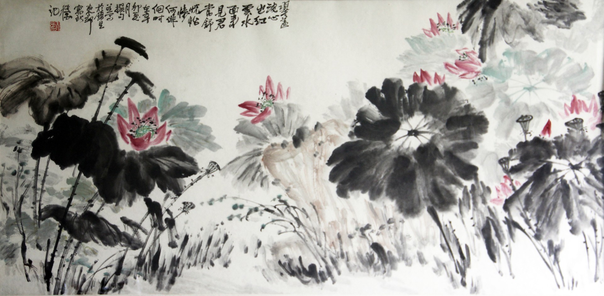 荷花