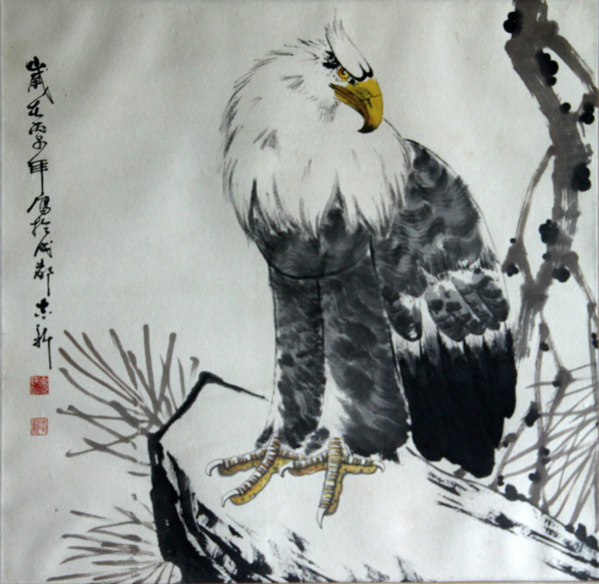 鹰