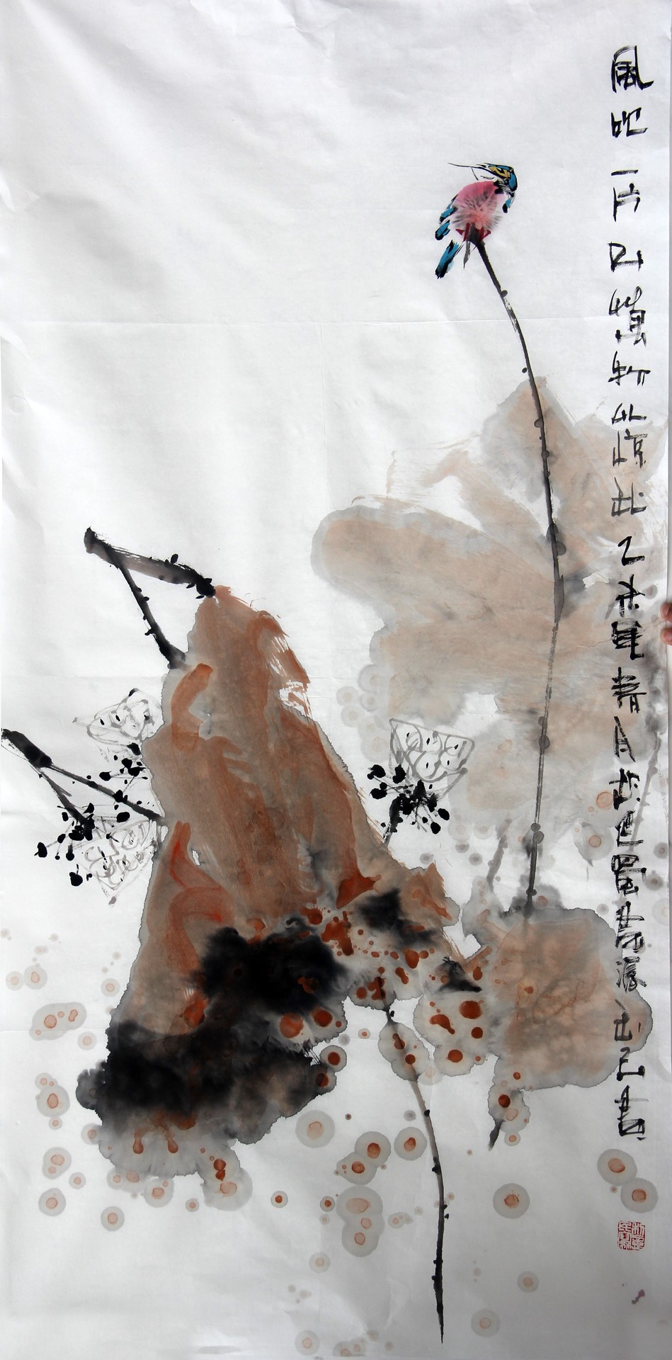 花鸟