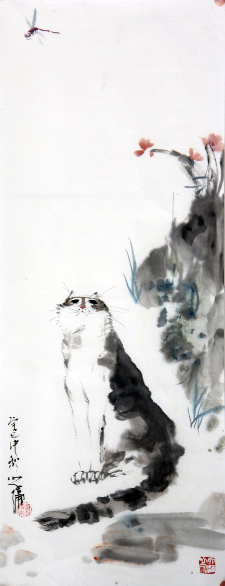 猫