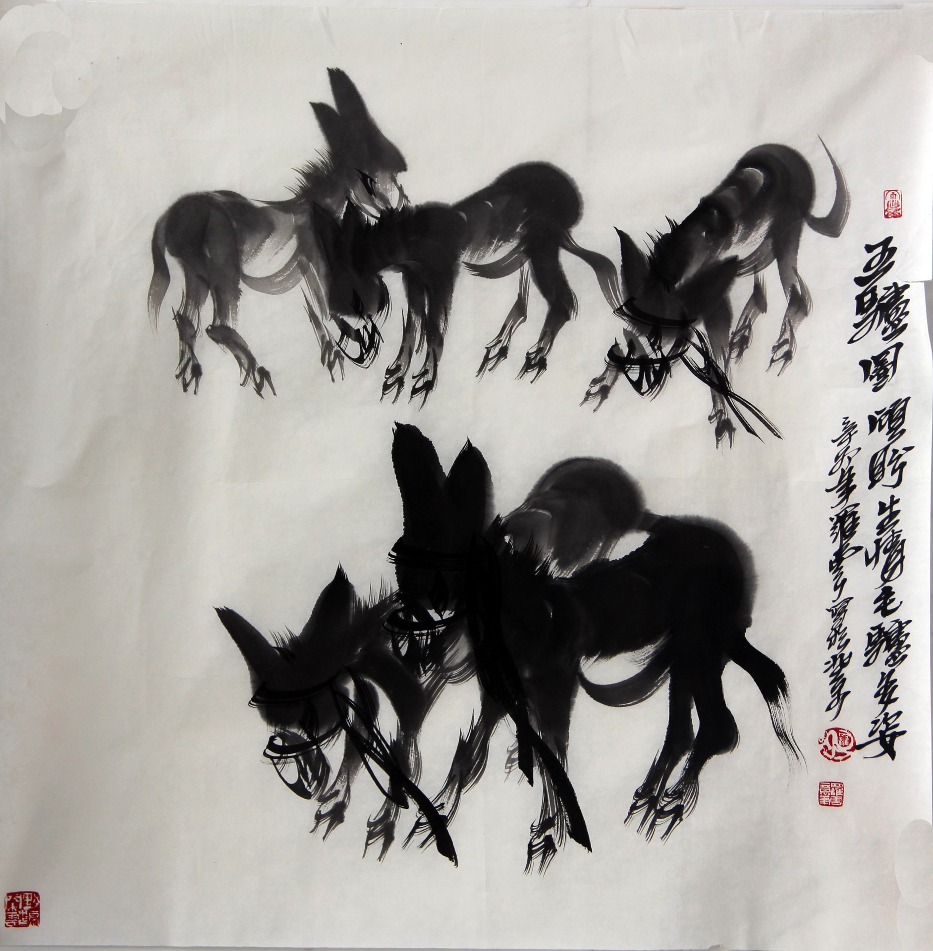 群驴图