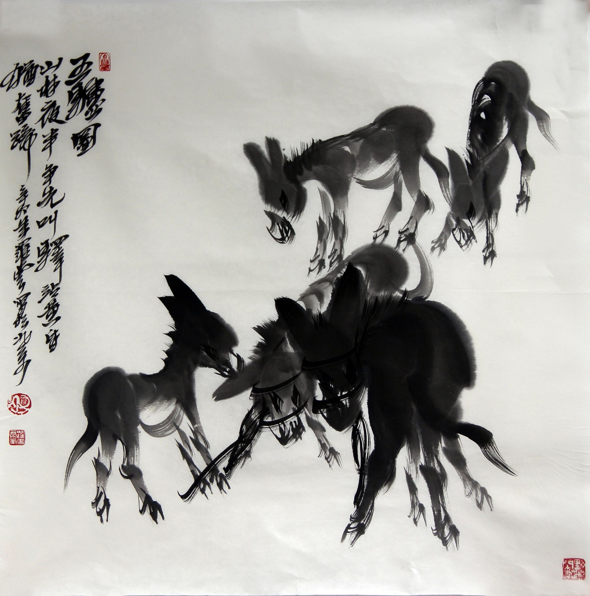 群驴图