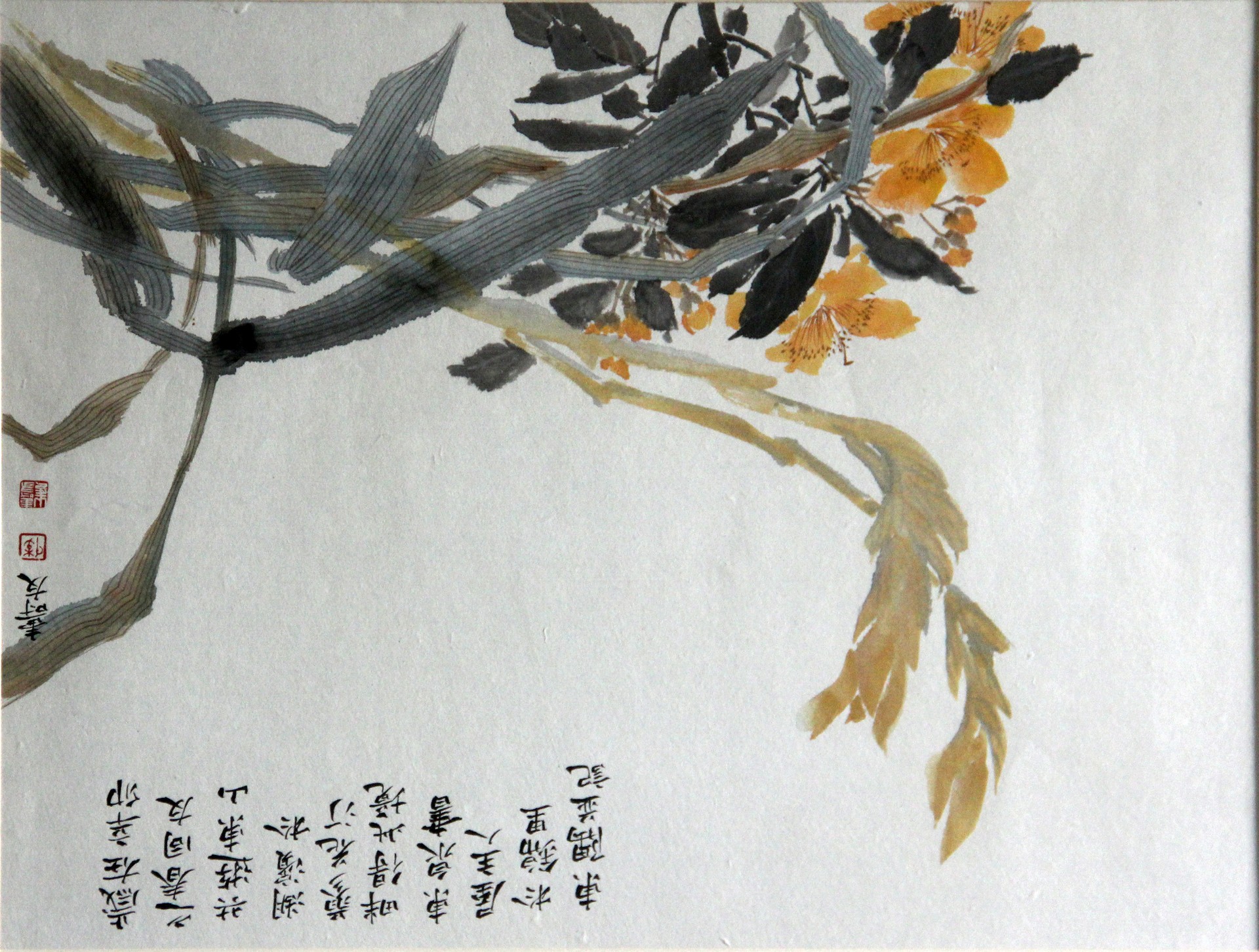 花鸟