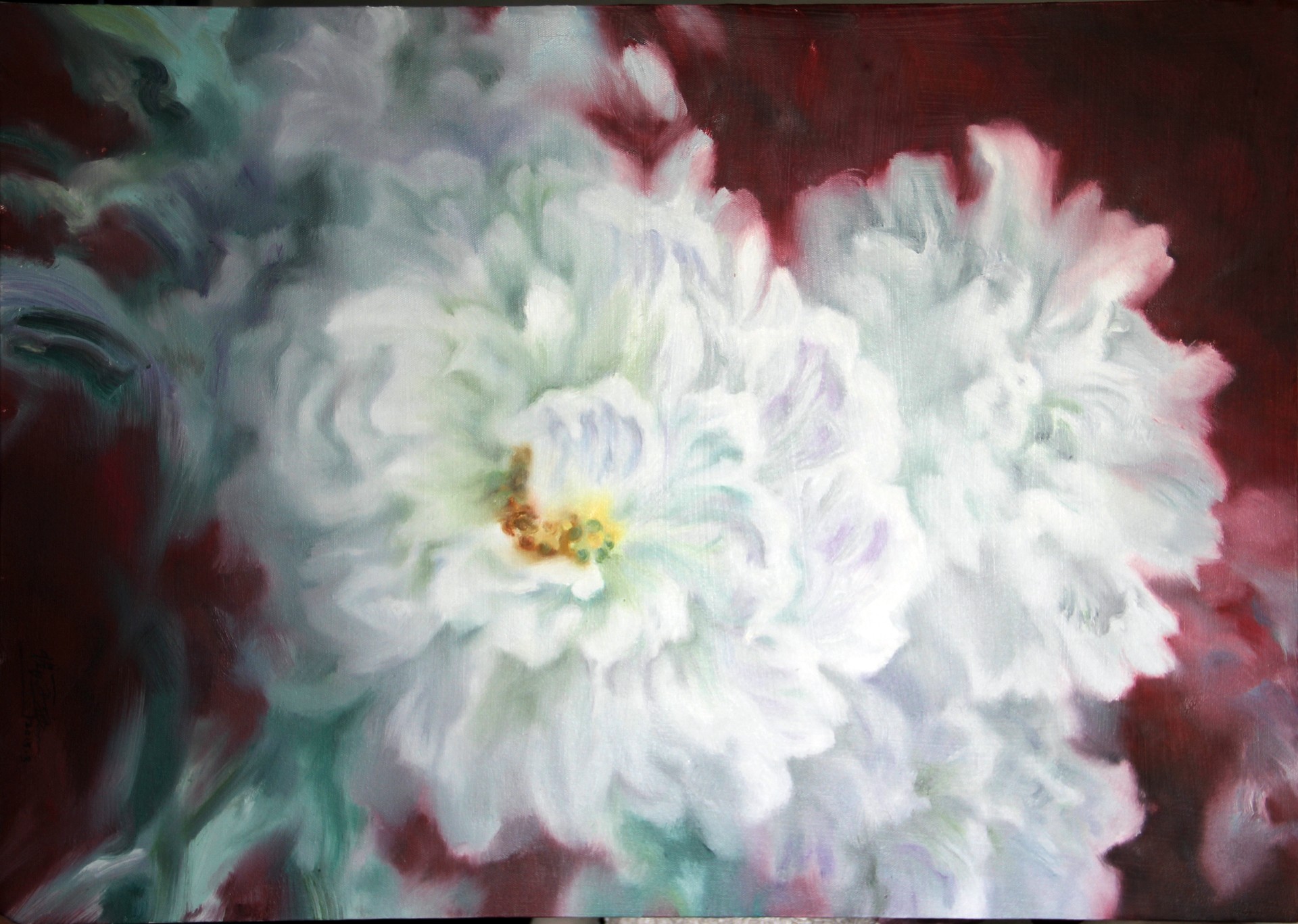 芙蓉花