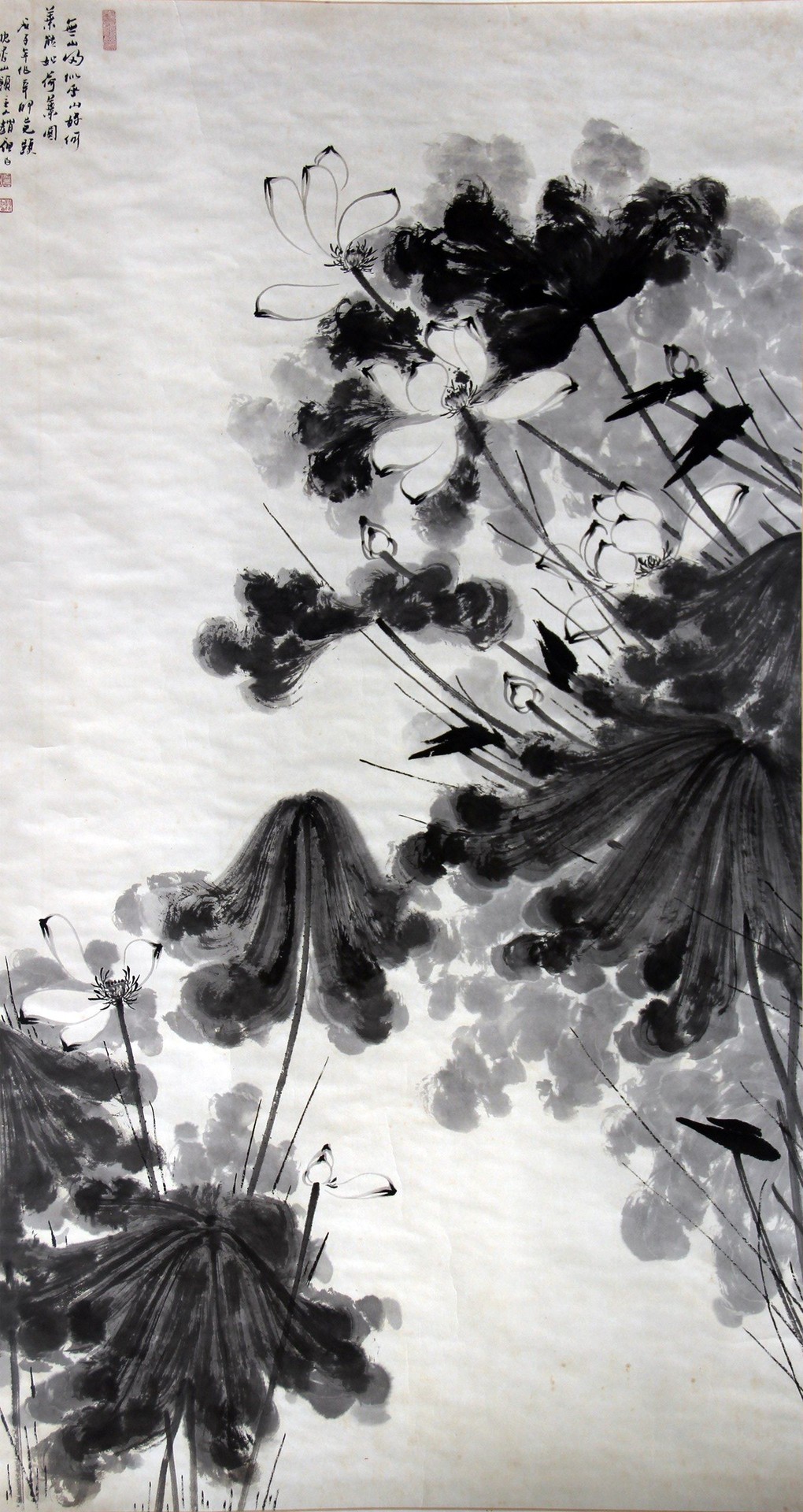 黑荷